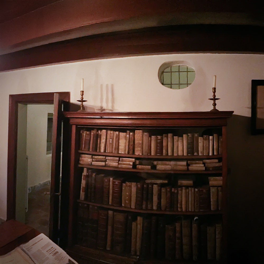 Spinoza's study